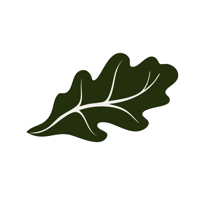 website and social media services for small businesses Oaken CO Oak leaf mark